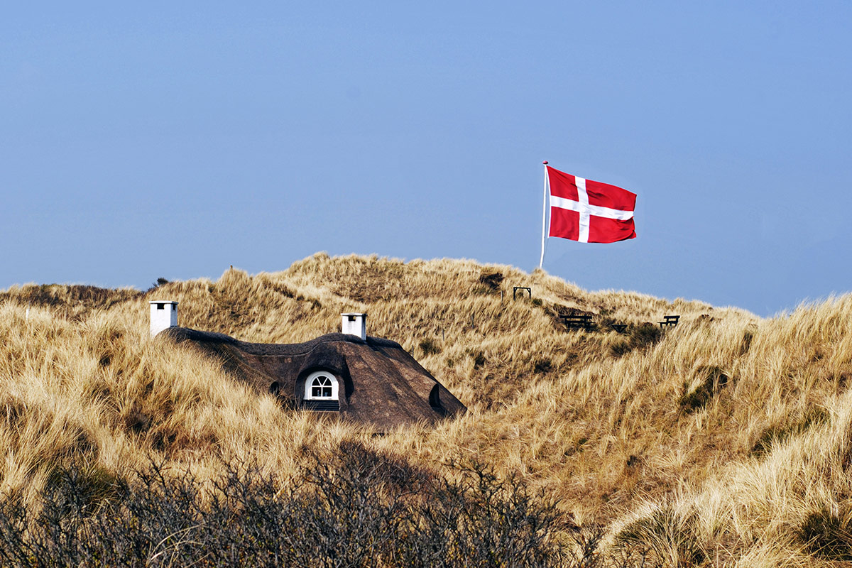 Danish Flag