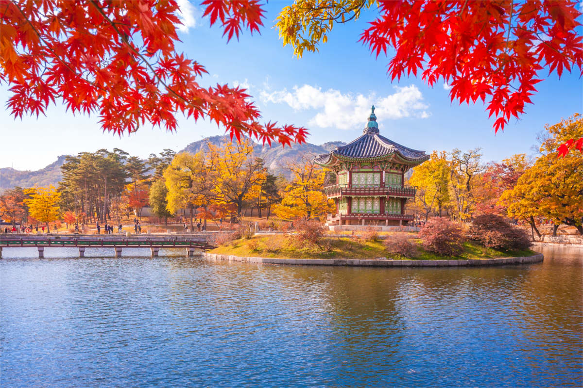 the best places to visit in 2018 lost found